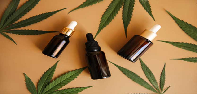 5 Top Tips For CBD Oil For Dogs And Cats