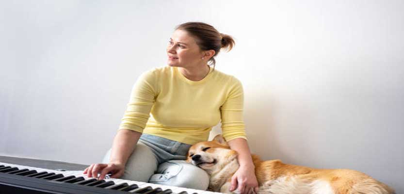 Relax My Dog: Sleeping Music and TV to Calm Your Pets